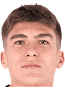 尼科洛·卡沃蒂