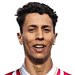 哈姆扎·埃洛瓦斯蒂