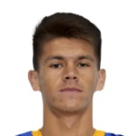 哈维尔·多明格斯