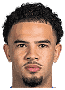 沃伦·扎伊尔·埃梅里