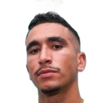 希拉尔·费道西