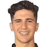 内斯托尔·阿雷巴洛斯