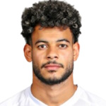 纳比勒·阿马德