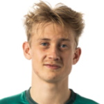 亨利·斯莱茨乔