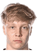 阿尔蒂·海勒马