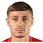 尼古拉·格里西奇