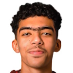 米沙勒·阿莱利