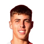 罗曼·里克尔梅