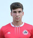 尼古拉·武基奇