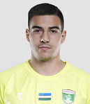 尼基塔·舍甫琴科