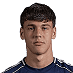 弗拉丹·卡拉皮奇