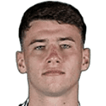 阿列克萨·茨维特科维奇