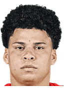 艾默生·乌尔索