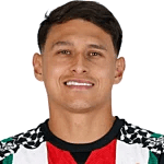 纳尔逊·达席尔瓦