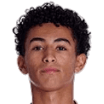 弗朗西斯科·内托