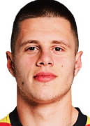 尼达尔·切利克