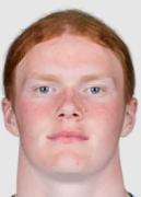 埃尔维斯·范德朗