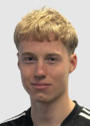 亚伦·林德霍尔姆