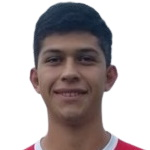 蒂亚戈·佩纳尔瓦