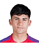 维森特·阿尔瓦雷斯