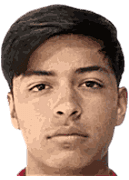 奥斯瓦尔多·维尔根