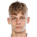 弗拉迪斯拉夫·波斯佩洛夫