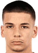 维克多·拉多耶维奇