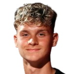 伊布拉希莫维奇