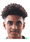 阿达玛·库利巴利