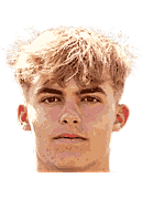 海内斯·贝伦斯