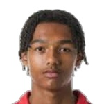 吉诺·韦尔赫斯特