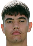 米尔扎·卡托维奇