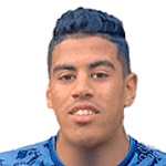 纳塞尔·穆斯塔菲尔