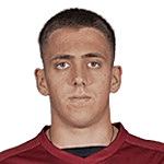 尼古拉·格鲁伊奇