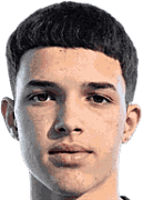 弗拉维奥·哥恩卡维斯