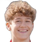 里安·范德帕弗特