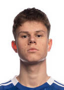 伊戈尔·法比安·戈西克