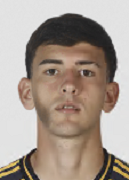 卡米洛·多梅内奇