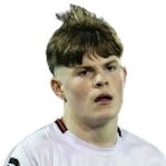 文森特·伦纳德