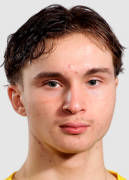 埃尔梅里·拉帕莱宁