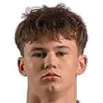 弗朗西斯科·莱万多夫斯基