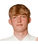 维果·普兰廷加