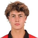 梅林·范·德·维尔