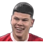 安德烈·米兰诺维奇