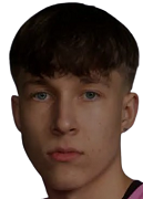 尼克拉斯·沃蒂莱宁